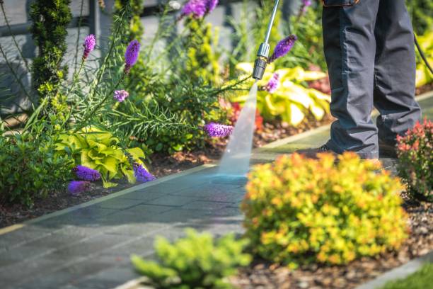 Best Winterizing Services  in Womelsdorf, PA